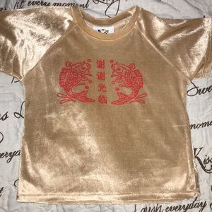 Omighty Zichar Velvet Crop Top